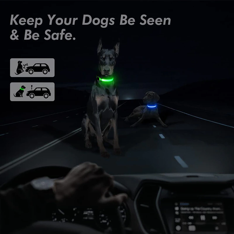LED Light-Up Adjustable Dog Collar – image 2