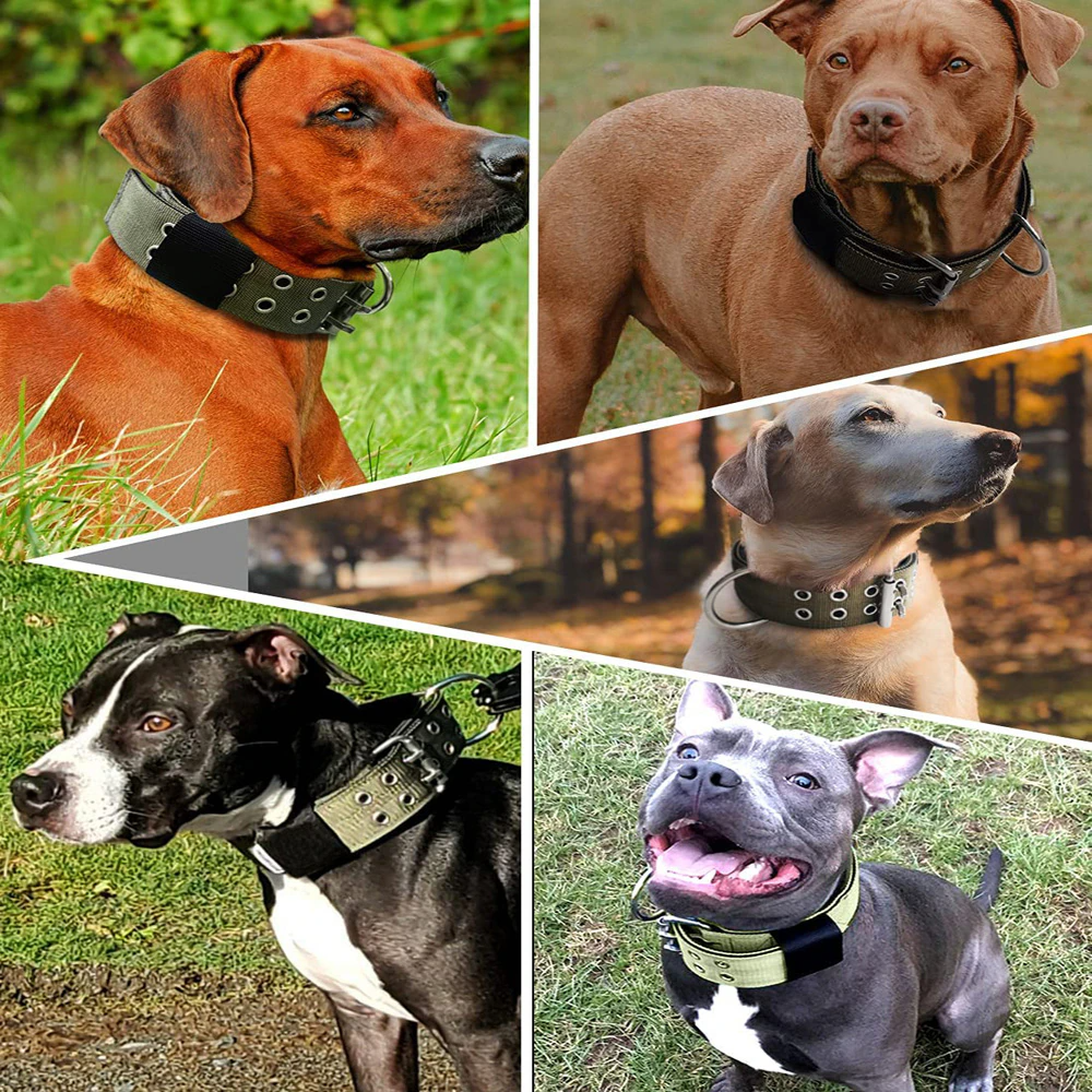 Heavy-Duty Wide Tactical Dog Collar – image 14