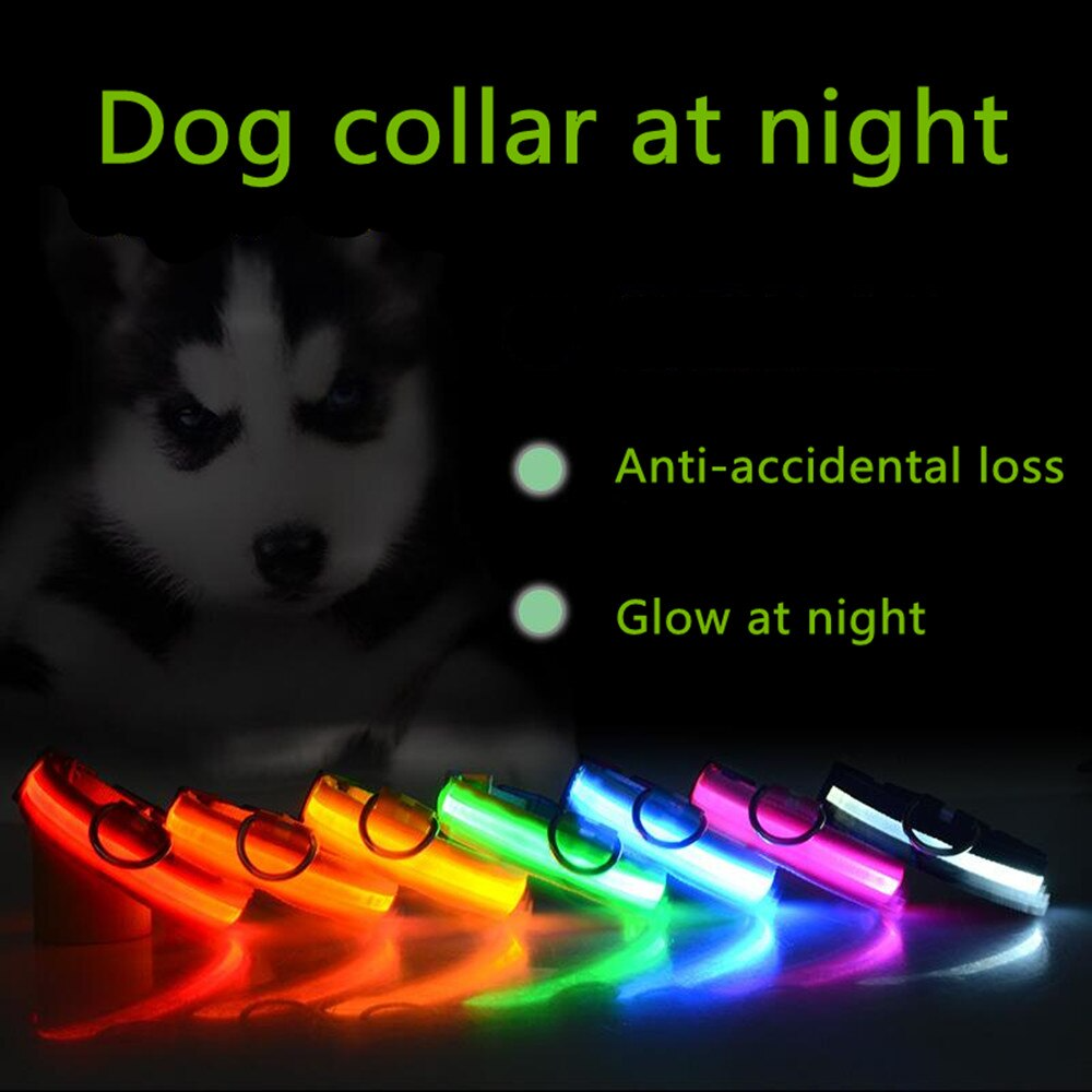 LED Light-Up Adjustable Dog Collar – image 5