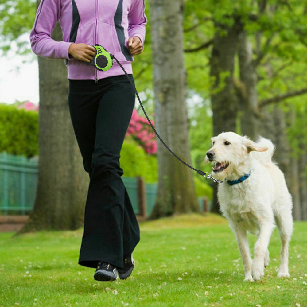 16-Foot Retractable Dog Leash – image 6