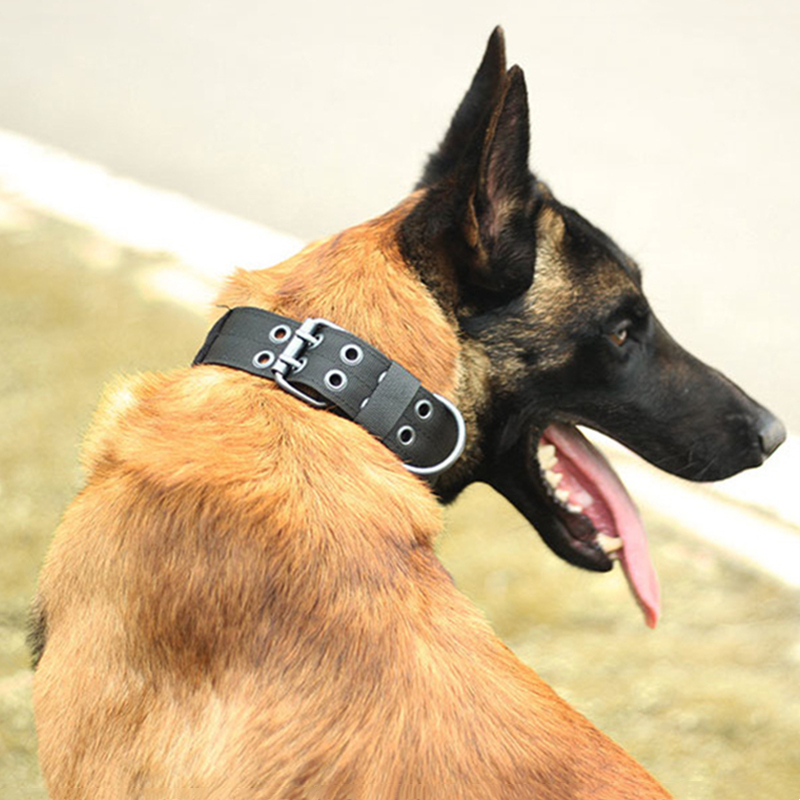 Heavy-Duty Wide Tactical Dog Collar – image 19