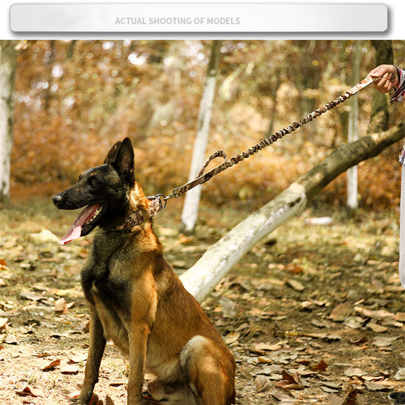 Heavy-Duty Wide Tactical Dog Collar – image 20