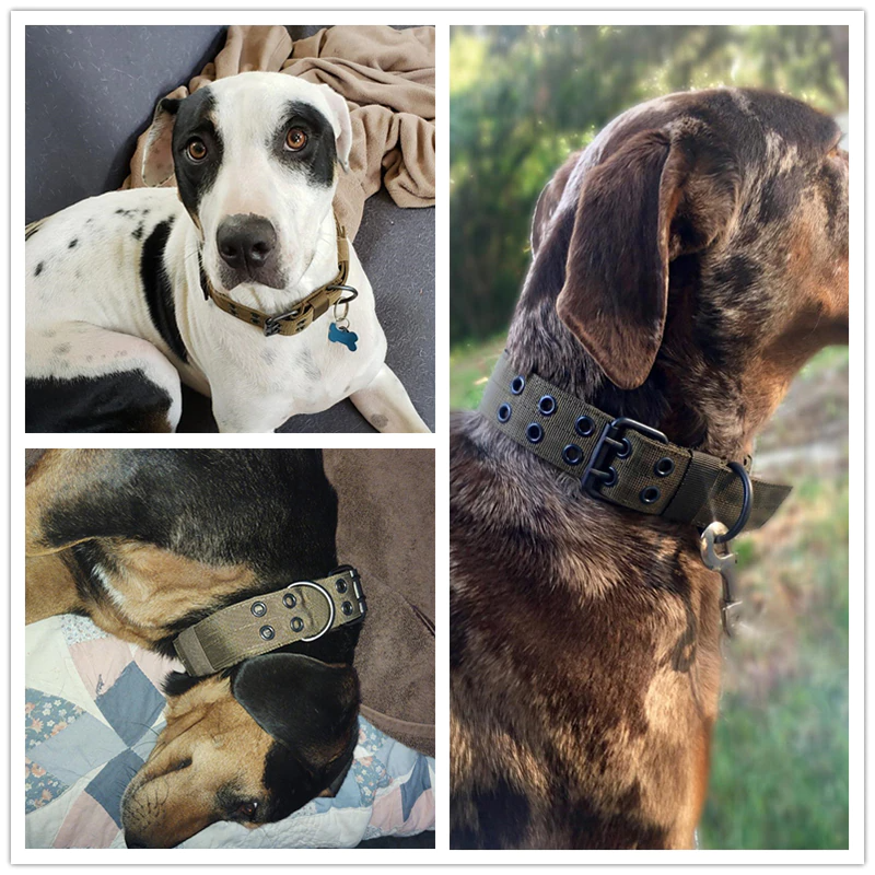 Heavy-Duty Wide Tactical Dog Collar – image 8