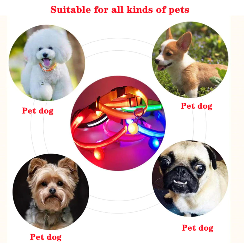 LED Light-Up Adjustable Dog Collar – image 10