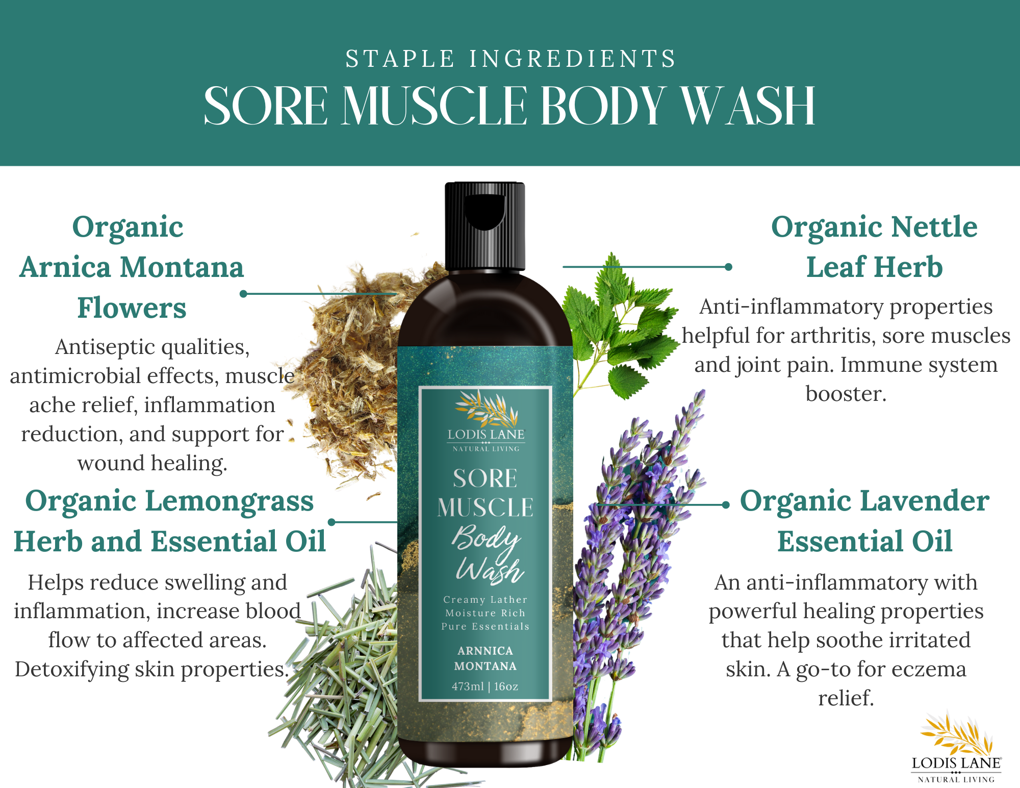 Arnica Montana Exfoliating Body Wash – image 2